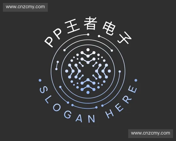 了解PP王者电子